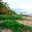 Sjö- och strandväder i Franska Guyana