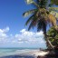 Tidpunkter för tidvatten i Punta Cana för de kommande 14 dagarna