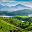 Tidpunkter för tidvatten i Kerala