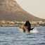 Tidpunkter för tidvatten i Kapstaden för de kommande 14 dagarna
