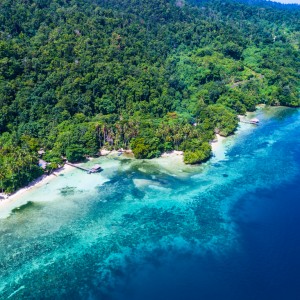 Indonesiska Papua
