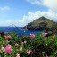 När kan man bada i Saba: havstemperatur månad efter månad